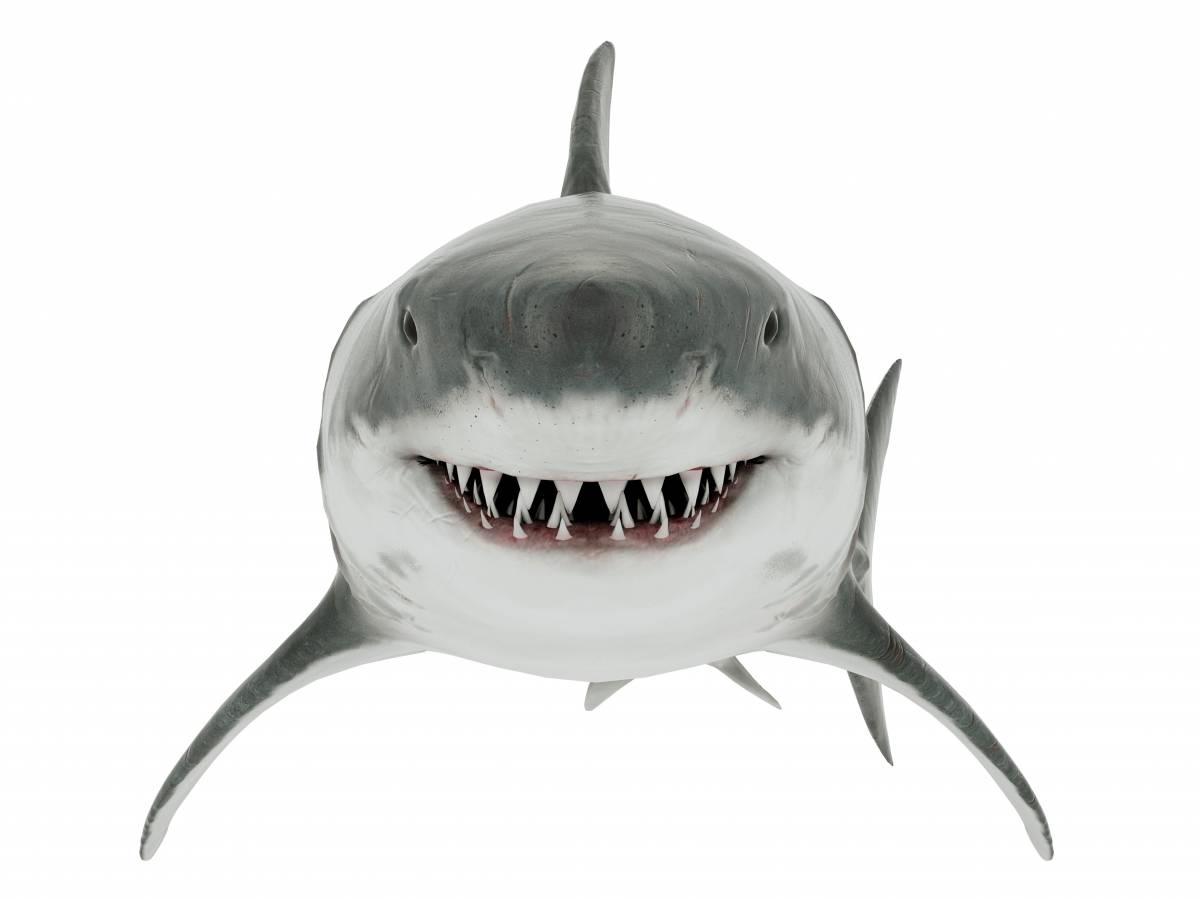 Odontoiatria e Cosmetica