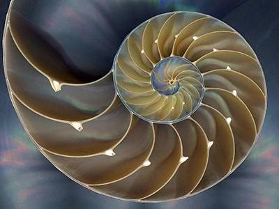 Progettazione e stampaggio conto terzi