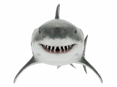 Odontoiatria e Cosmetica