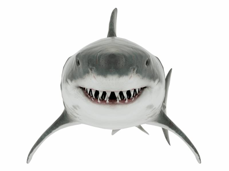 Dentistry and Cosmetics